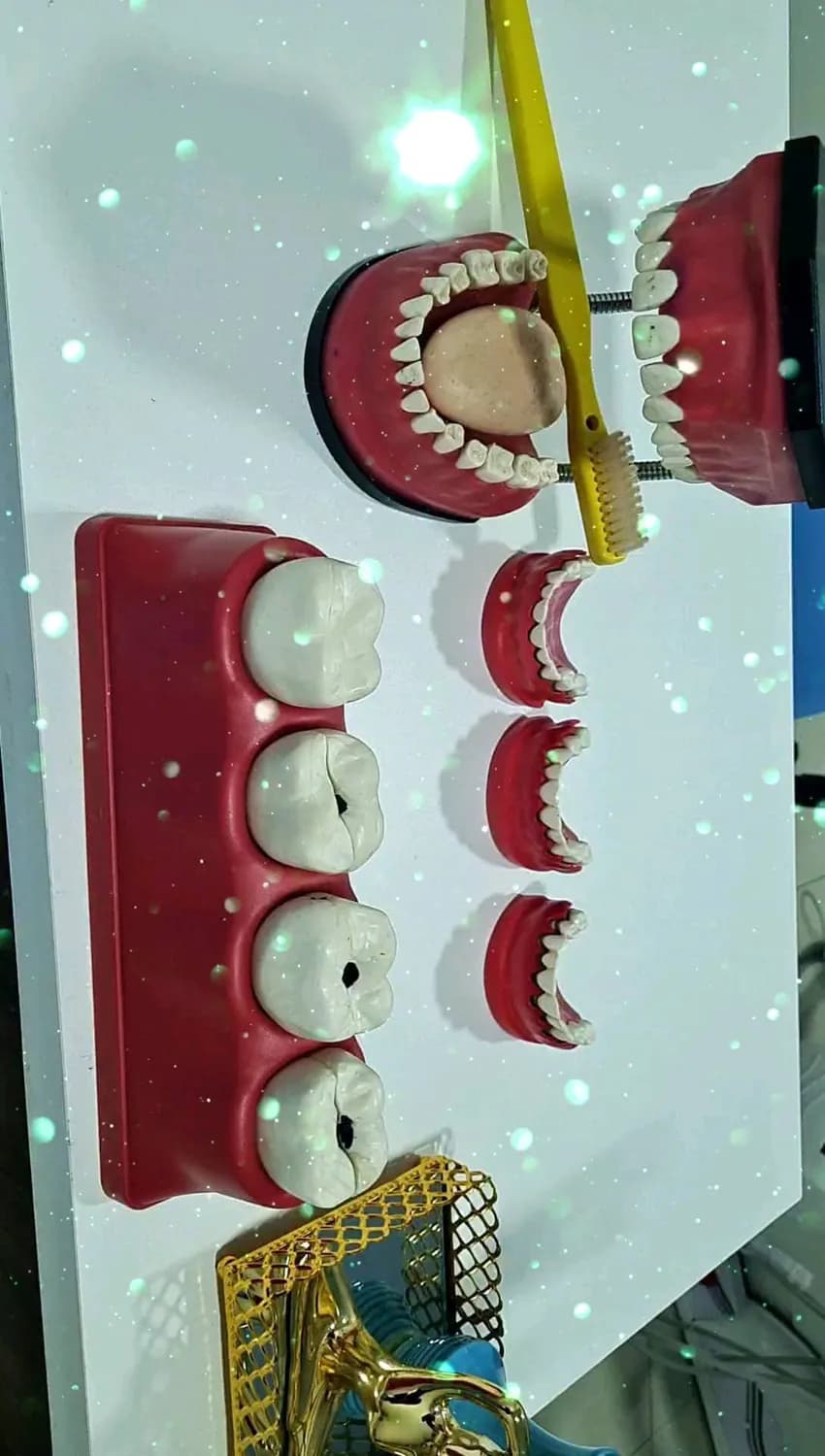 Modelo de dentes usado em ortodontia